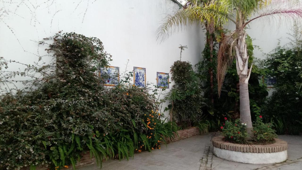 Gravina Comfort Tarifa Extérieur photo